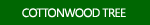 Cottenwood Tree Photographs