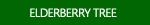 Elderberry Tree Pictures