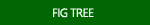 Fig Tree Images