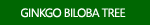 Ginkgo Biloba Tree Pictures