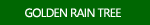 Golden Rain Tree Images