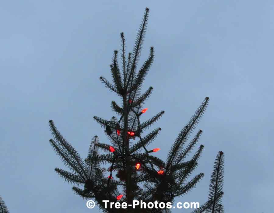 Christmas Tree Topper Decorated With Red LED Lights