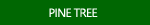 Pine Tree Photographs