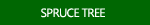 Spruce Tree Pictures