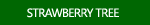 Strawberry Tree Images