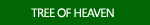 Tree of Heaven Images