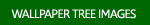 Tree Wallpaper