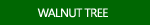 Walnut Tree Photos