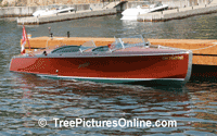 Mahogany Trees: Picture of Mahogany Wood Boat